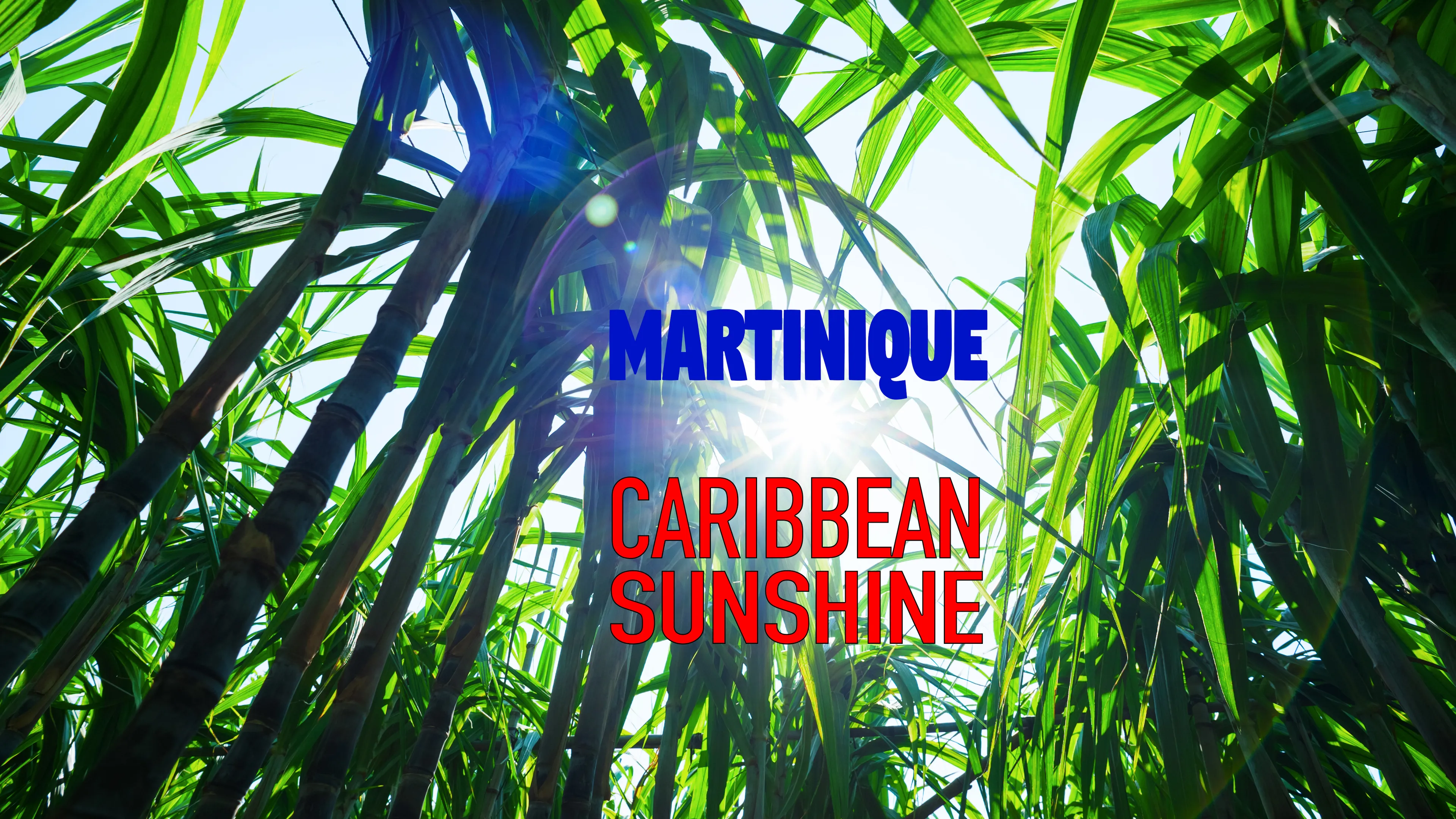 Martinique: Caribbean Sunshine poster